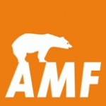 Подвесные потолки AMF